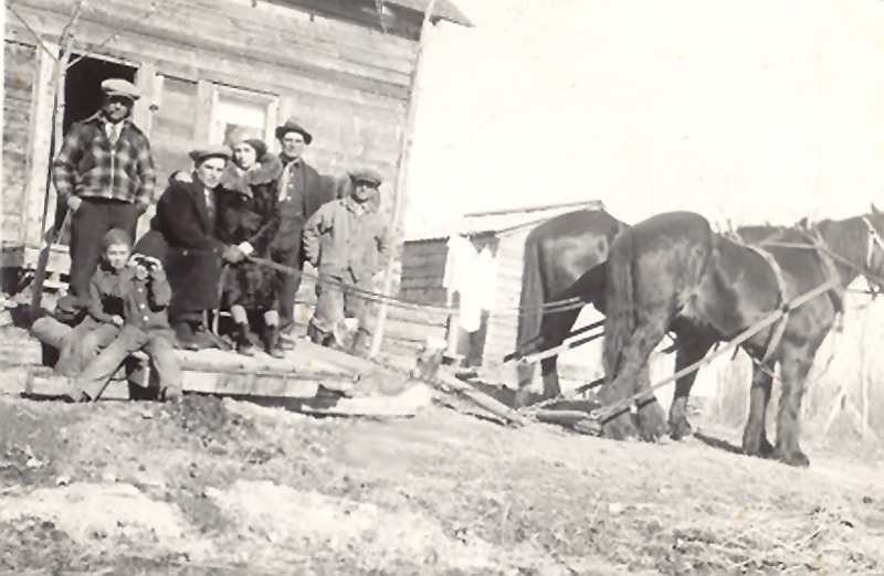 Vintage image of a group of people outside a building next to a team of horses.