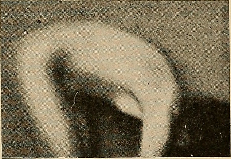 Grainy vintage image of a naked woman, from the side, bending over as if touching her toes.