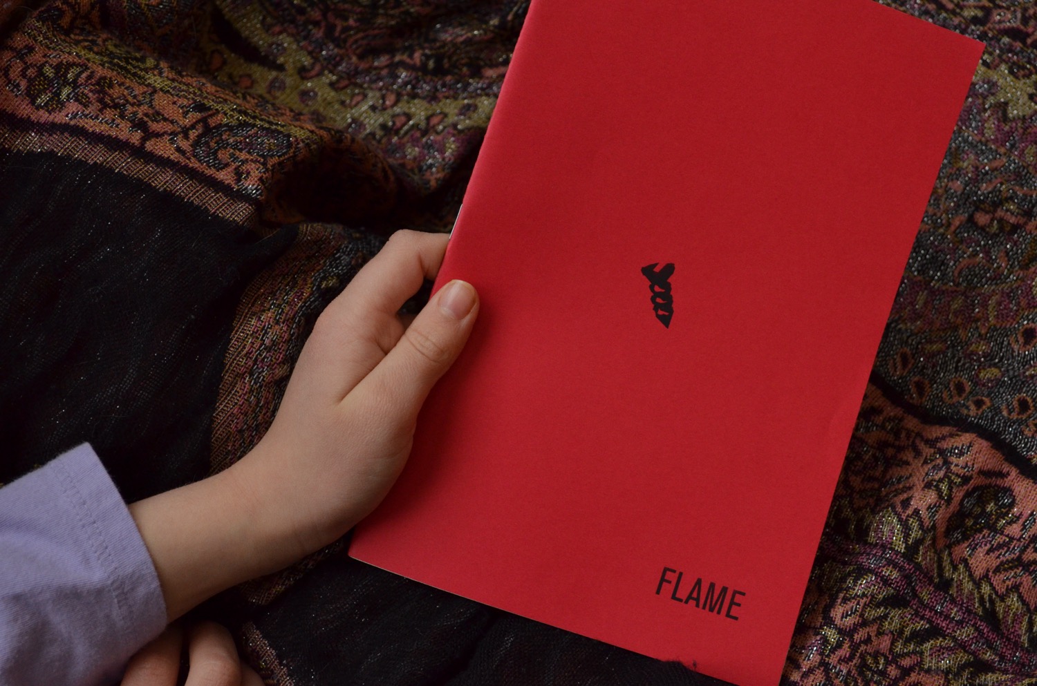 a hand holding the chapbook FLAME